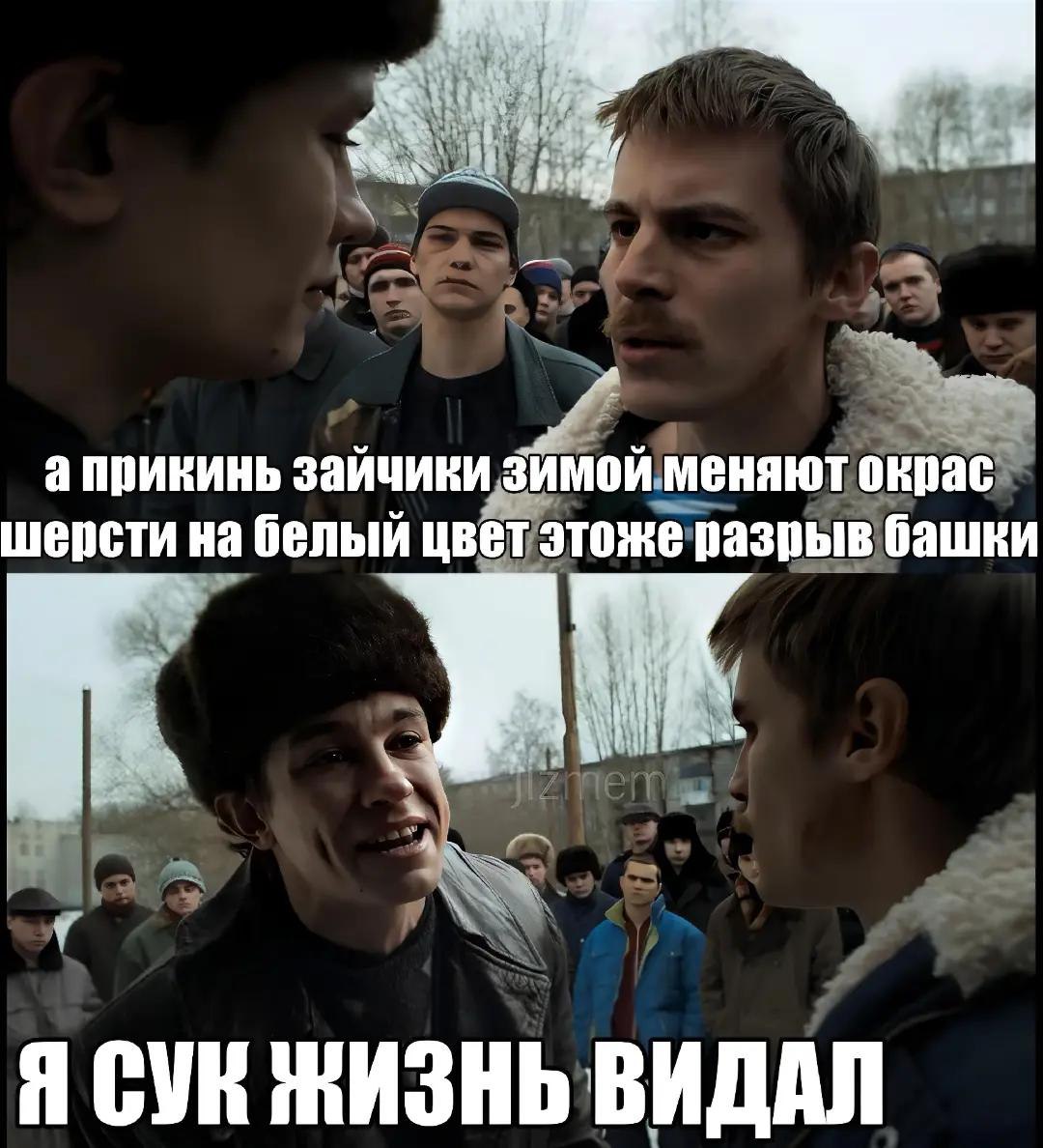 а прикинь зайчики зймой меняют окрас шерсти на белый цвет этоже разрыв башки Я ЖИЗНЬ ВИДАЛ