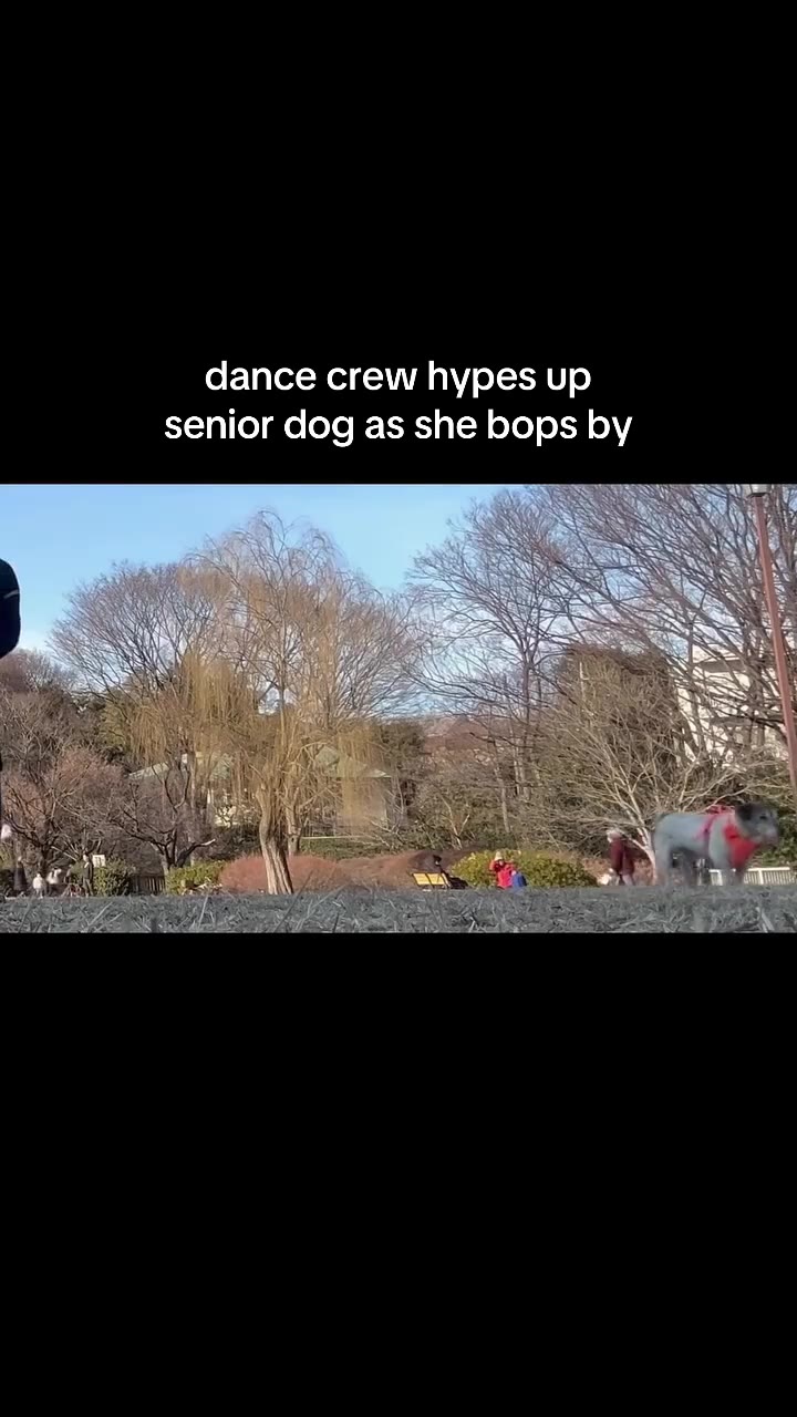 dance crew hypes up