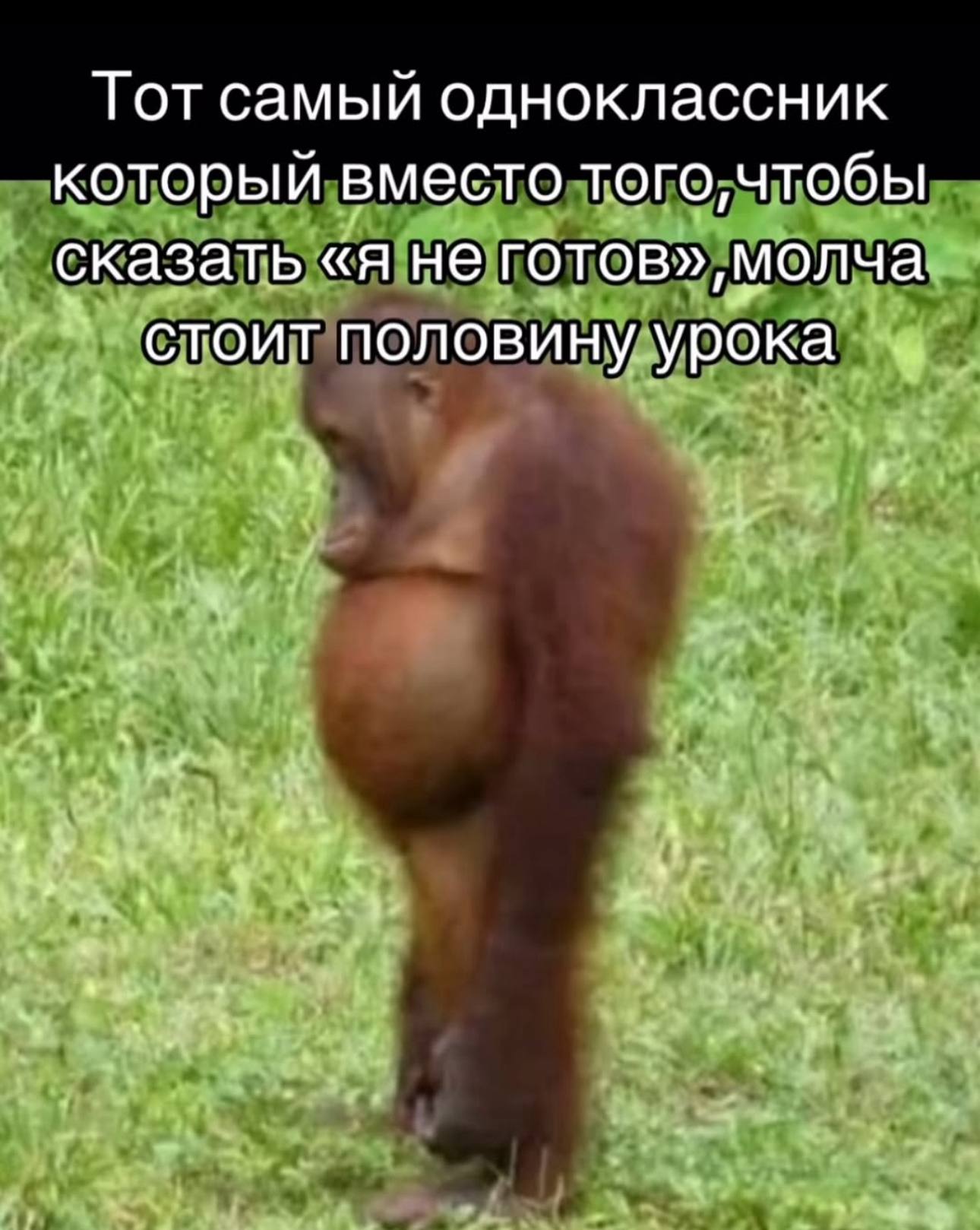 Тот самый одноклассник который вместо того, чтобы сказать «я не стоит половину урока