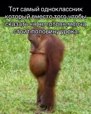 Тот самый одноклассник который вместо того, чтобы сказать «я не стоит половину урока
