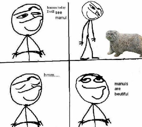 👤 empörung