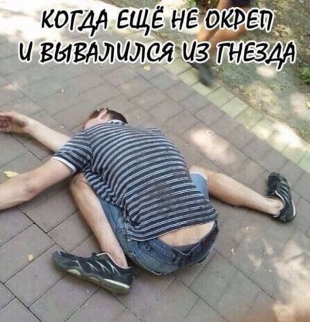 КОГЛА