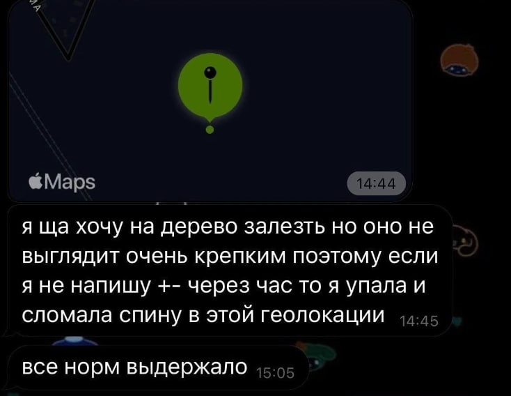 я хочу на дерево залезть но оно не выглядит очень крепким поэтому если я не напишу через час то я упала и сломала спину в этой геолокации все норм выдержало