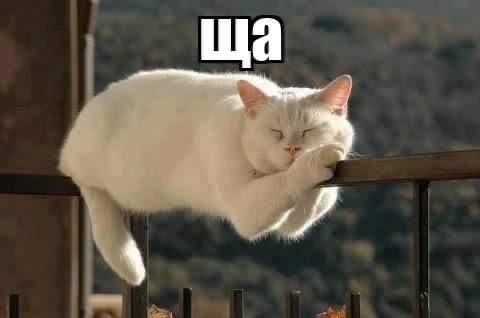 мем