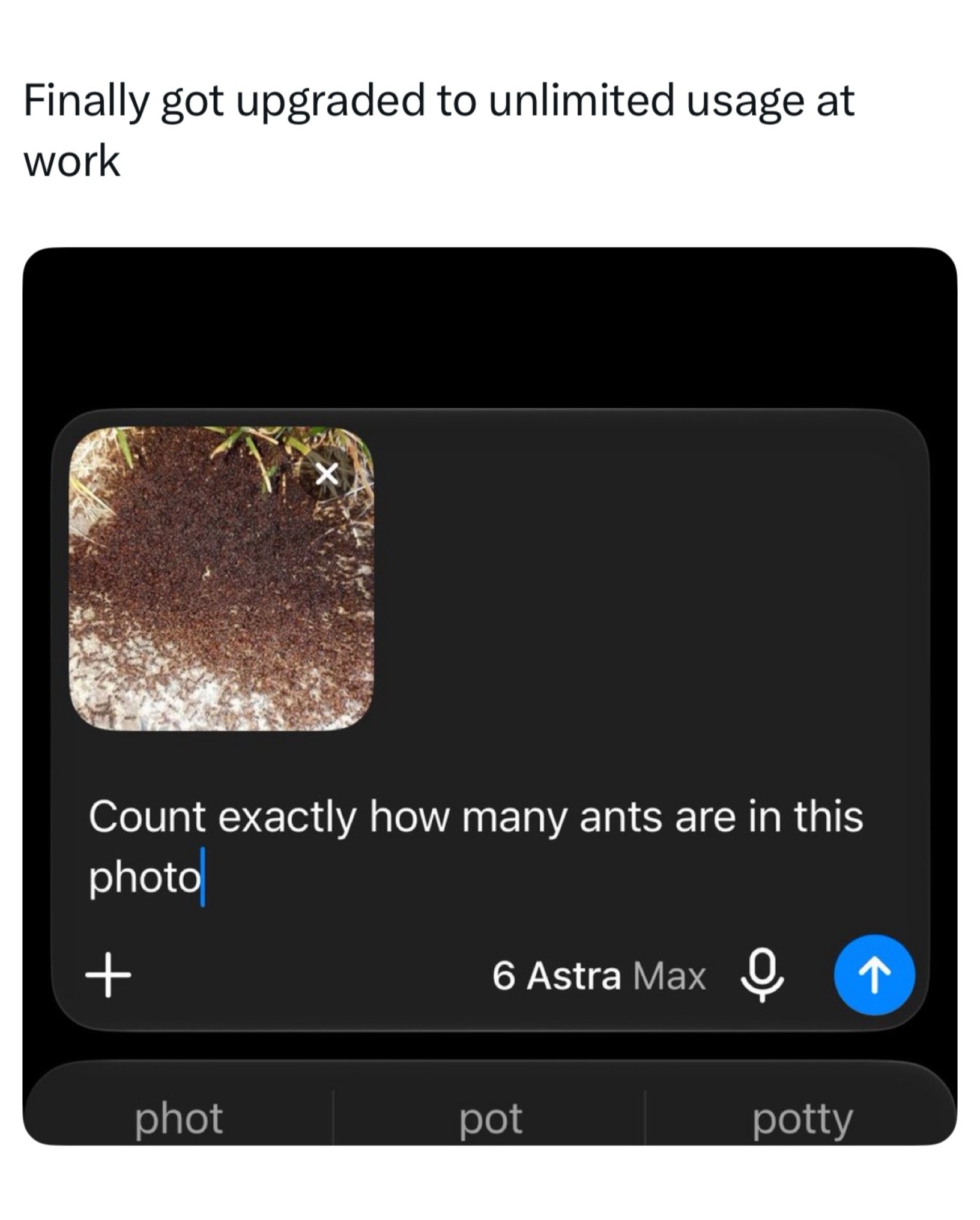 Finally got upgraded to unlimited usage at work 2. 7 i¢ Count exactly how many ants are in this photo 6 Astra Max О phot рот potty