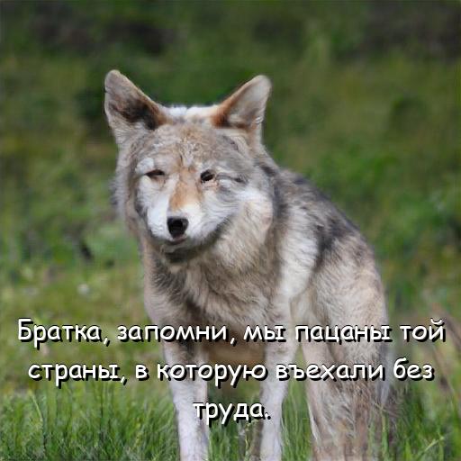 Братка, запомни, мы пацаны той страны, в которую Въехали без