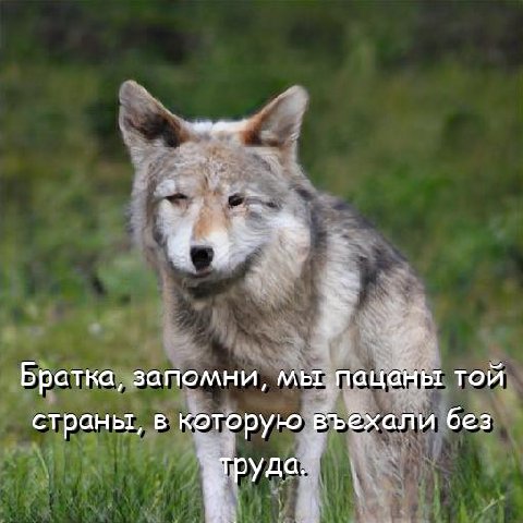 Братка, запомни, мы пацаны той страны, в которую Въехали без