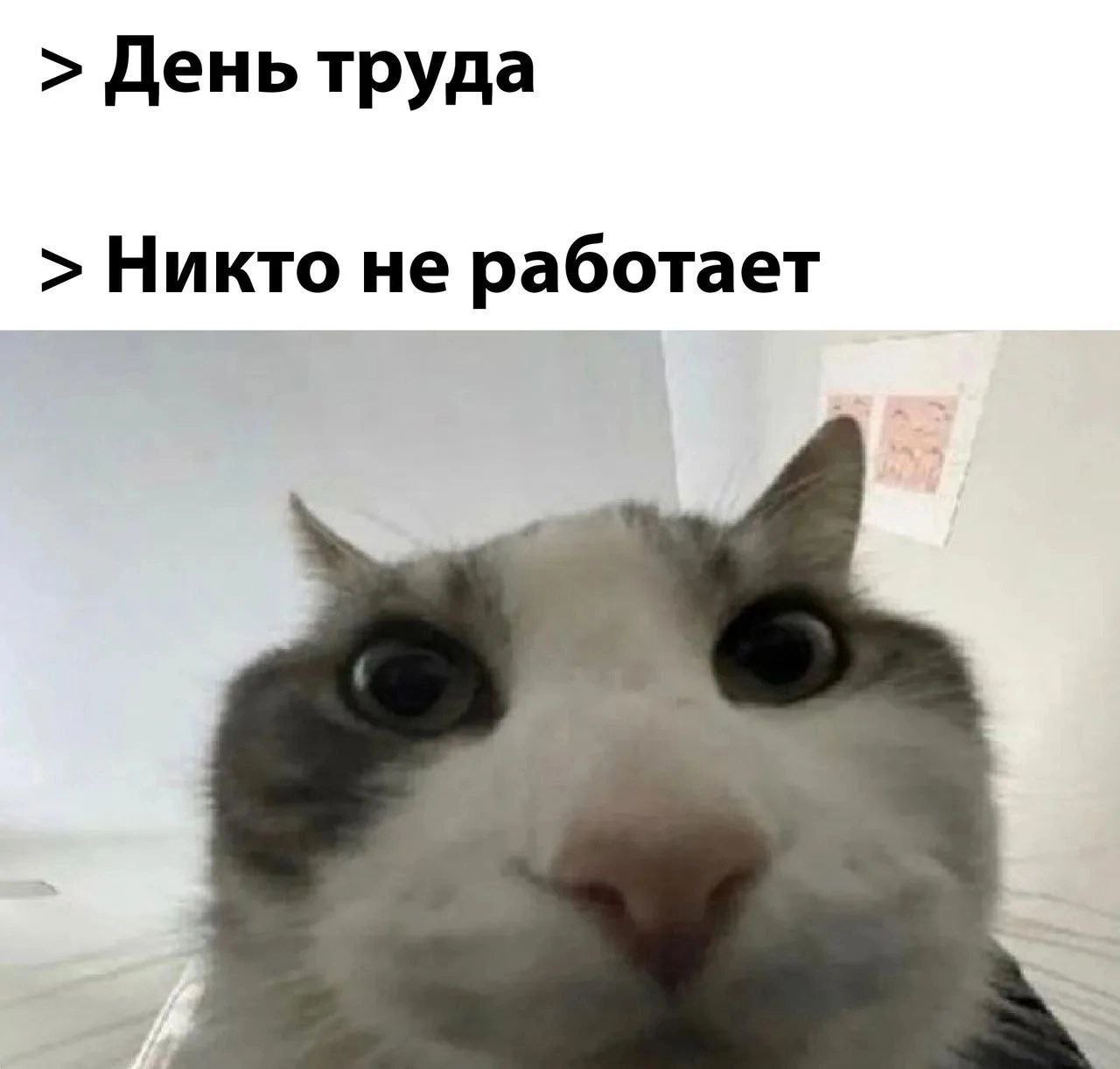 День труда Никто не работает