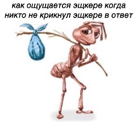 как ощущается эщкере когда никто не крикнул эщкере в ответ AN