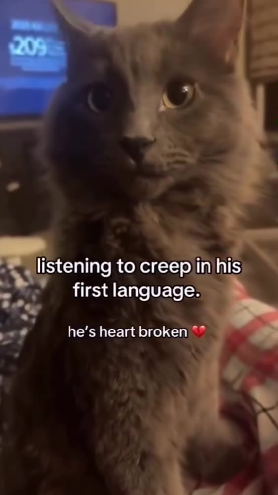 . listening to creepiin his | he’s heart broken ** ь =. Хо first language. ss listening to creep injhis