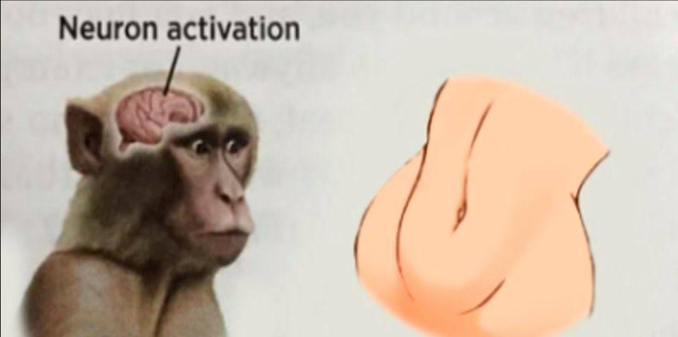 Neuron activation