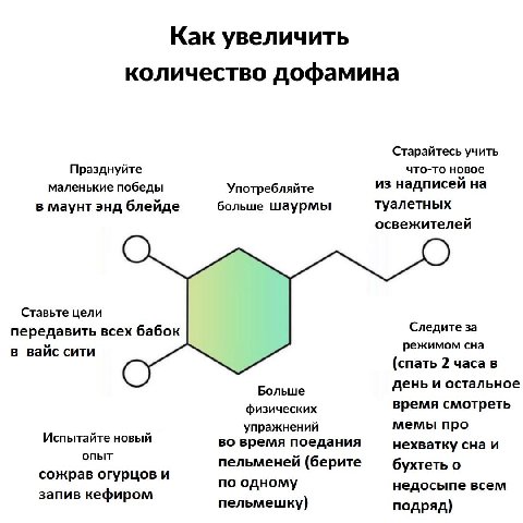 Как увеличить количество дофамина Старайтесь учить Празднуйте что-то новое маленькие победы Употребляйте из надписей на в маунт энд блейде больше шаурмы туалетных освежителей Ставьте цели передавить в