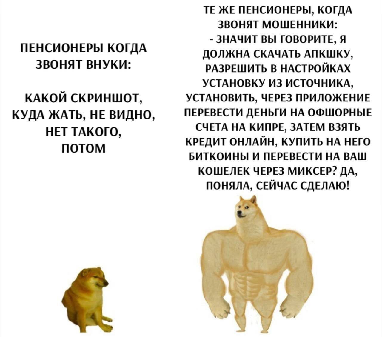 ЖЕ ПЕНСИОНЕРЫ, КОГДА ЗВОНЯТ МОШЕННИКИ: ЗНАЧИТ ВЫ ГОВОРИТЕ, Я ПЕНСИОНЕРЫ КОГДА ДОЛЖНА СКАЧАТЬ АПКШКУ, ЗВОНЯТ ВНУКИ: РАЗРЕШИТЬ В НАСТРОЙКАХ УСТАНОВКУ ИЗ ИСТОЧНИКА, УСТАНОВИТЬ, ЧЕРЕЗ ПРИЛОЖЕНИЕ КАКОЙ СКР