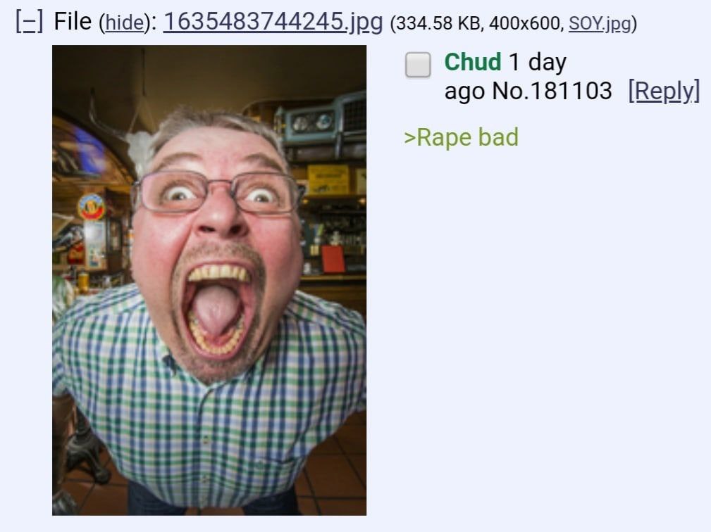 File (hide): 1635483744245 jpg (334.58 SOY.jpg) Chud 1 day ago No.181103 [Reply] >Rape bad dif