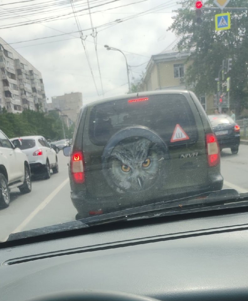 -Что это у тебя?
-Камера заднего вида