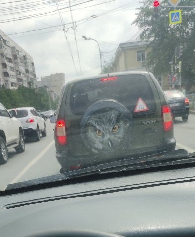 -Что это у тебя?
-Камера заднего вида