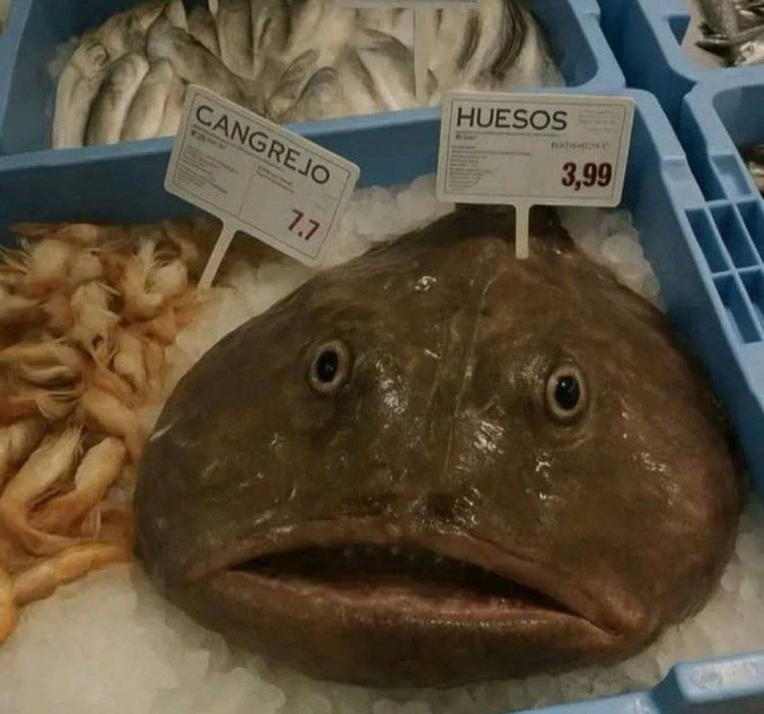 ANG 3,99
