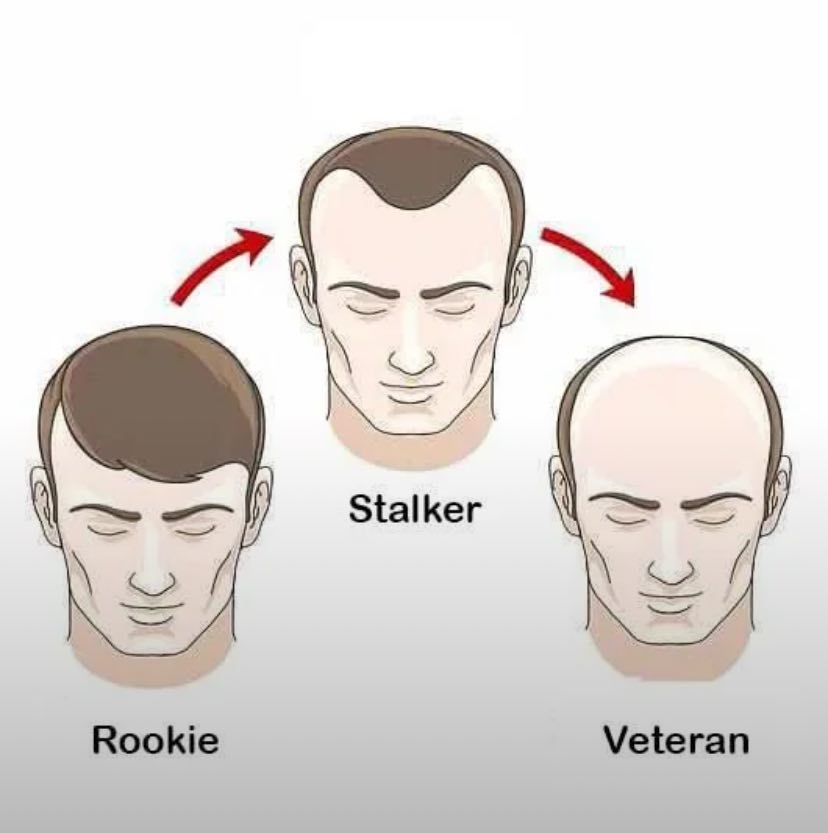 Stalker Rookie Veteran