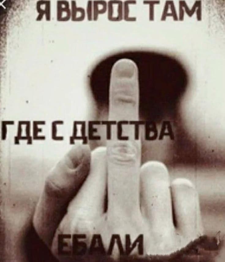 ЯВЫРОЕ TAM