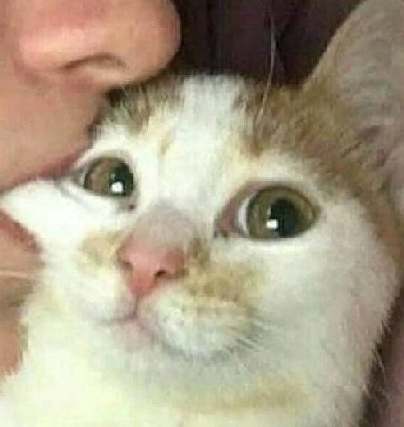 a Я Me
