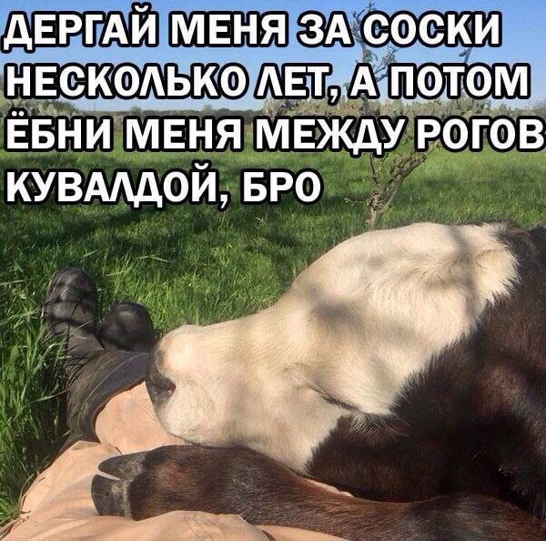 ДЕРГАЙ МЕНЯ ЗА СОСКИ НЕСКОЛЬКО NOTOM ЕБНИ МЕНЯ МЕЖДУ РОГОВ КУВАЛДОЙ, БРО