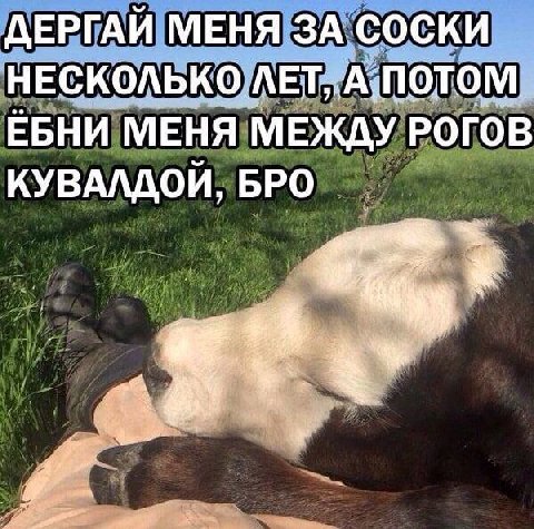 ДЕРГАЙ МЕНЯ ЗА СОСКИ НЕСКОЛЬКО NOTOM ЕБНИ МЕНЯ МЕЖДУ РОГОВ КУВАЛДОЙ, БРО
