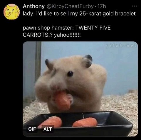 Anthony @KirbyCheatFurby lady: like to sell my 25-karat gold bracelet pawn shop hamster: TWENTY FIVE CARROTS!? В GIF ALT