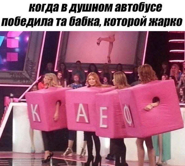 когда в душном автобусе победила бабка, котопой жарко