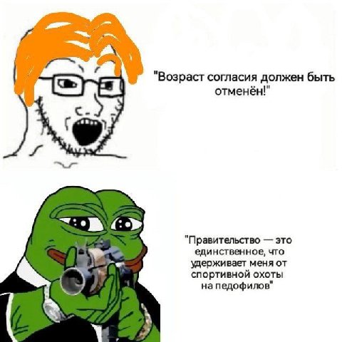 "Возраст согласия должен быть отменён!" с.) "Правительство это единственное, что удерживает меня от спортивной охоты напедофилов"