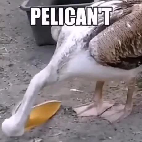 мем