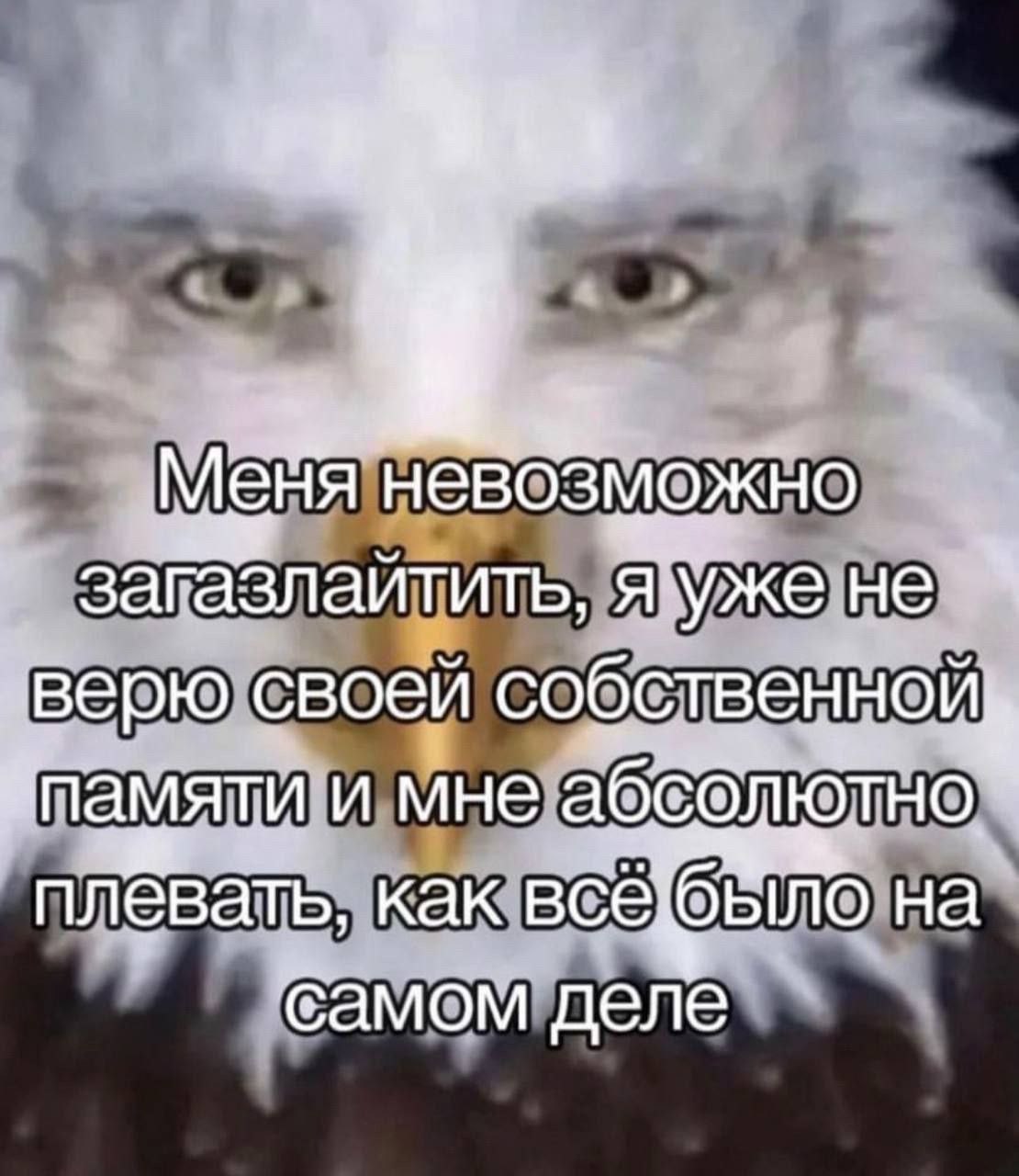 невозможно загазлайтить, не „верю своей собственной памяти и мне плевать, как на самом деле