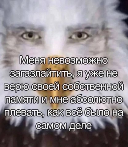 невозможно загазлайтить, не „верю своей собственной памяти и мне плевать, как на самом деле