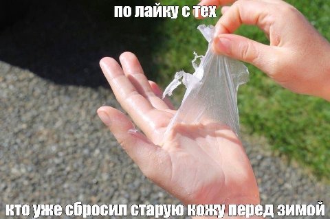 по лайкус кто уже сбросил старую кожу перед зимой