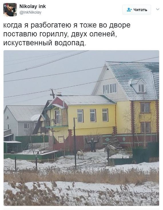 Nikolay ink 2> Читать когда я разбогатею я тоже дворе поставлю гориллу, двух оленей, искуственный водопад. 78 2%