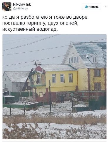Nikolay ink 2> Читать когда я разбогатею я тоже дворе поставлю гориллу, двух оленей, искуственный водопад. 78 2%