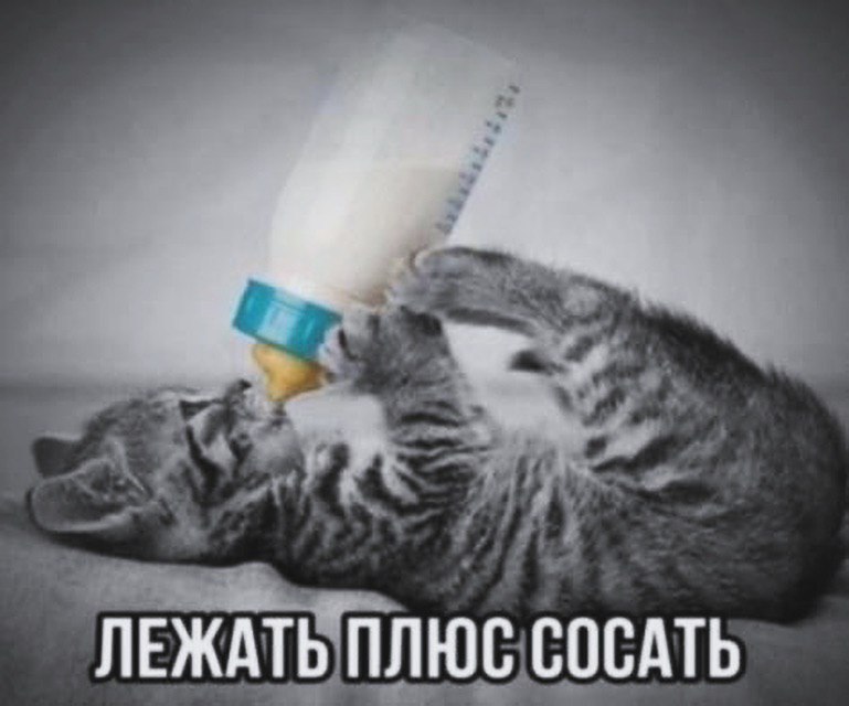 ЛЕЖАТЬ ПЛЮС СОСАТЬ