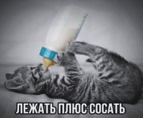 ЛЕЖАТЬ ПЛЮС СОСАТЬ