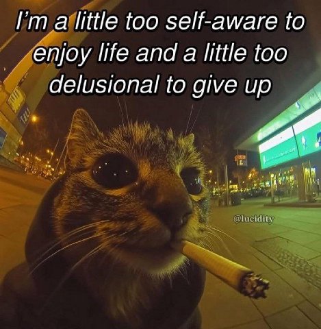 a little too self-aware to enjoy life and a little too delusional to give up