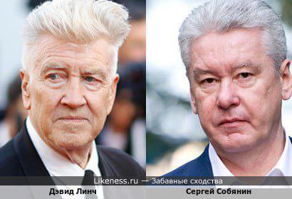 4 Likeness.ru Забавные сходства Дэвид Линч Сергей Собянин