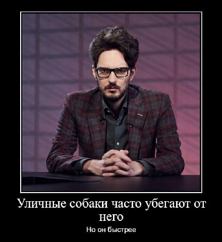Уличные собаки часто убегают от него Но он быстрее