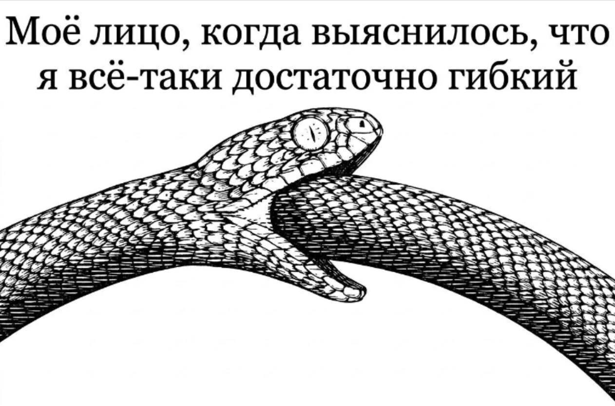 Moe лицо, когда выяснилось, что я всё-таки достаточно гибкий Pah
