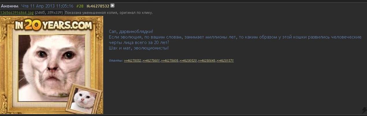 Аноним Апр 2013 11:05:16 #28 Показана уменьшенная копия, оригинал No KAMKY, 4) дарвиноблядки! ЕСЛИ ЭВОЛЮЦИЯ, ПО вашим словам, занимает миллионы лет, то каким образом у этои кошки развились человечески