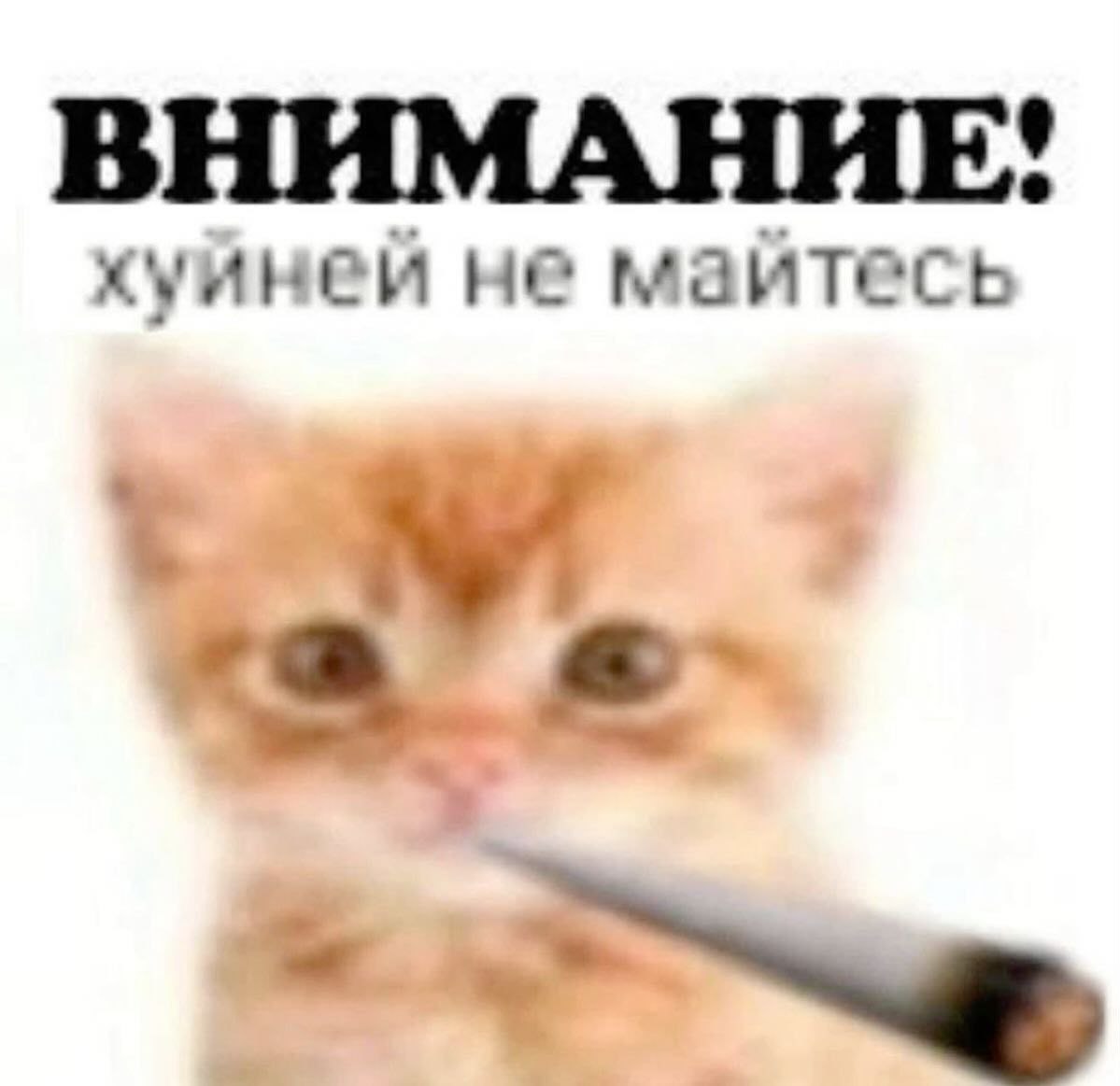 ВНИМАНИЕ! as инеи не мзитесь