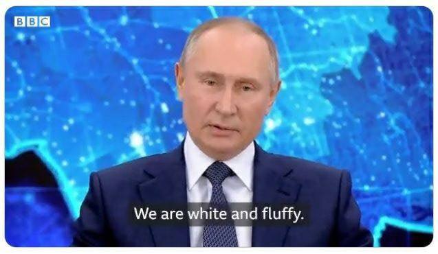 We are white and fluffy.