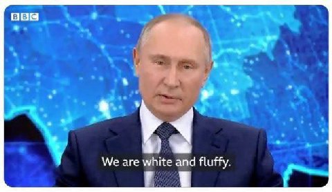 We are white and fluffy.