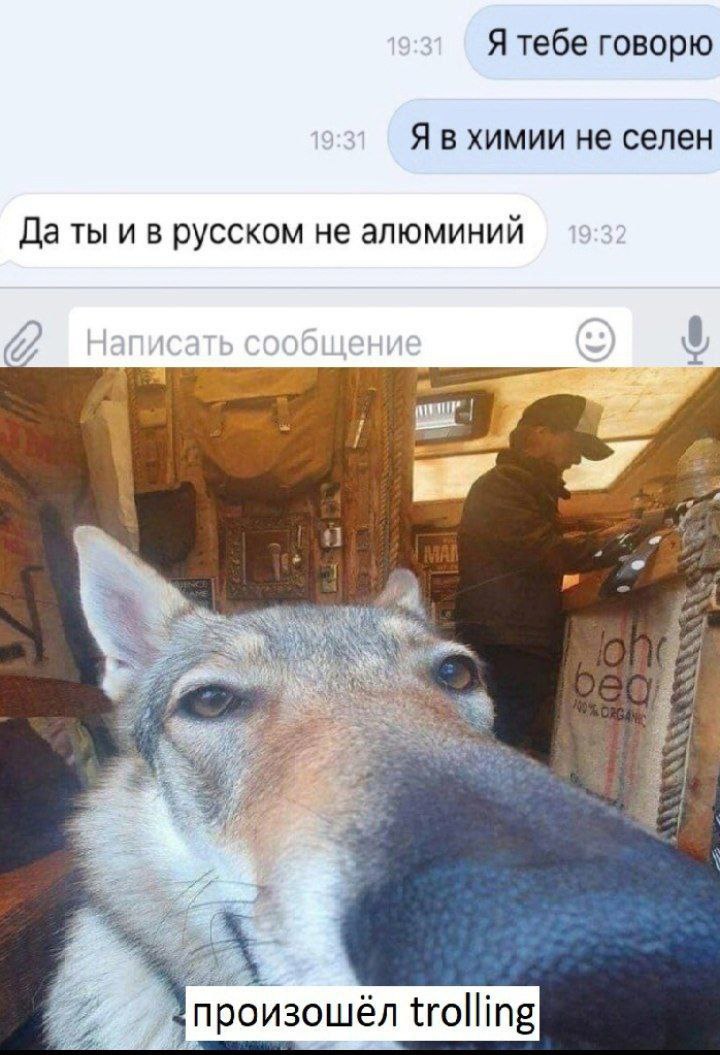 Я тебе говорю Я в химии не селен Да ты русском не алюминий poe произошёл trolling