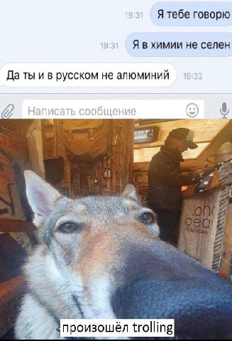 Я тебе говорю Я в химии не селен Да ты русском не алюминий poe произошёл trolling