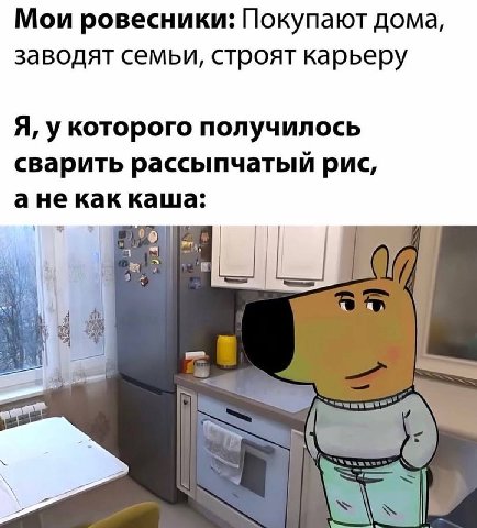 Мои ровесники: Покупают дома, заводят семьи, строят карьеру Я, у которого получилось сварить рассыпчатый рис, ане как каша: