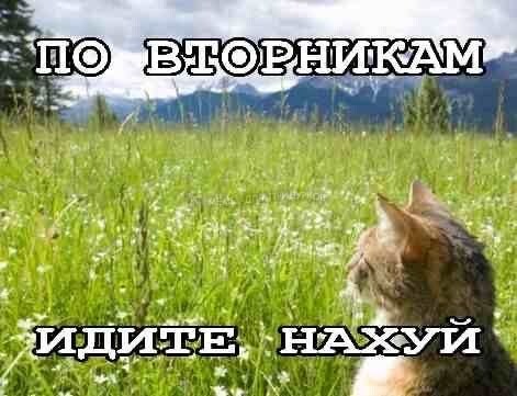Но В НИКАМ 2. yee Я. off on A, ИДИТЕ. НА и“ ays