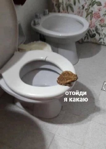 я какаю